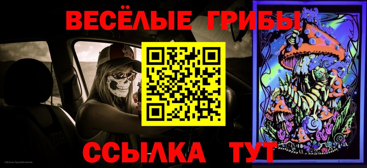 Галлюциногенные грибы GOLDEN TEACHER  Вход с VPN  Щёлково 