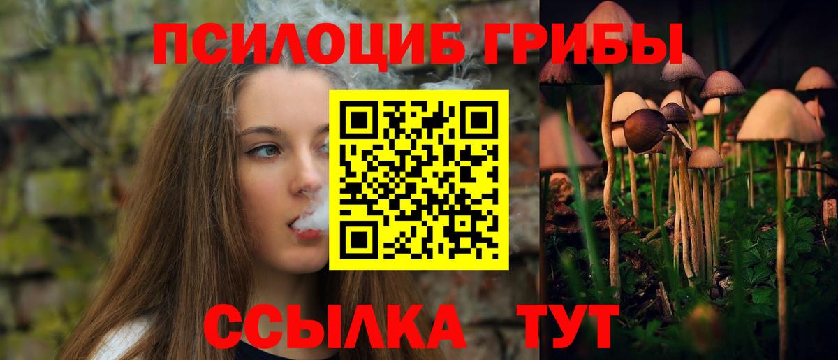 Псилоцибиновые грибы MAGIC MUSHROOMS Щёлково